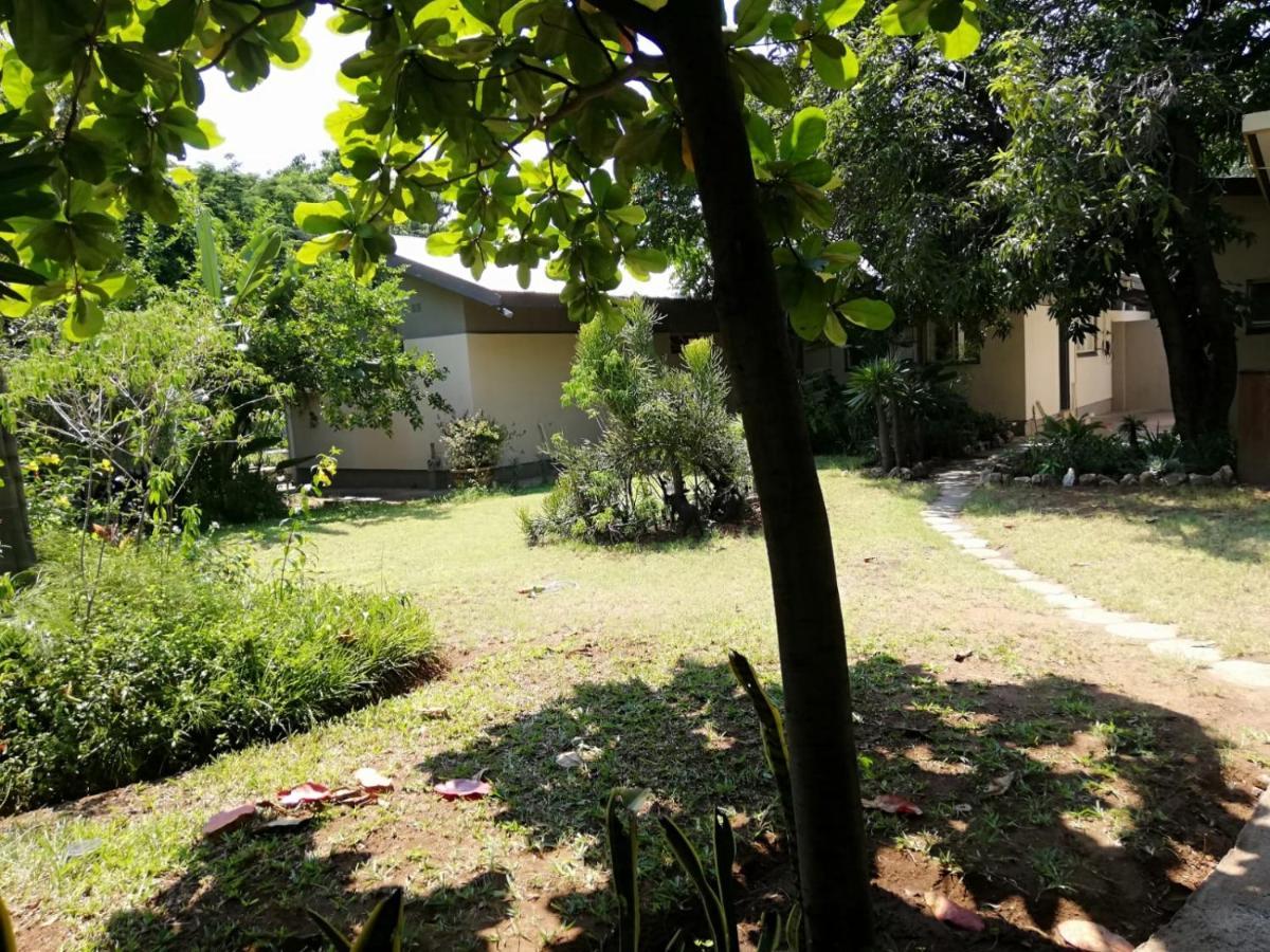 Elephant Walk Guesthouse And Back Packers Phalaborwa Kültér fotó