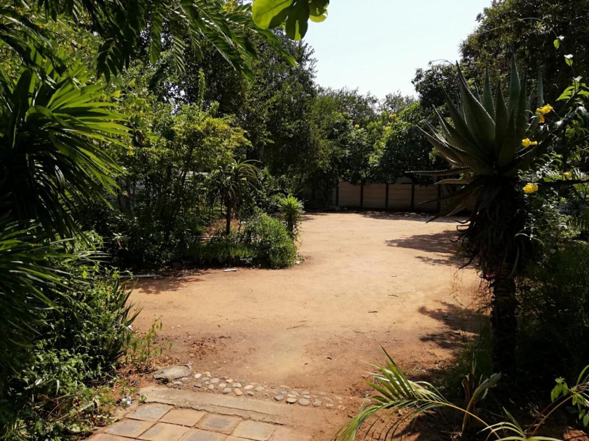 Elephant Walk Guesthouse And Back Packers Phalaborwa Kültér fotó