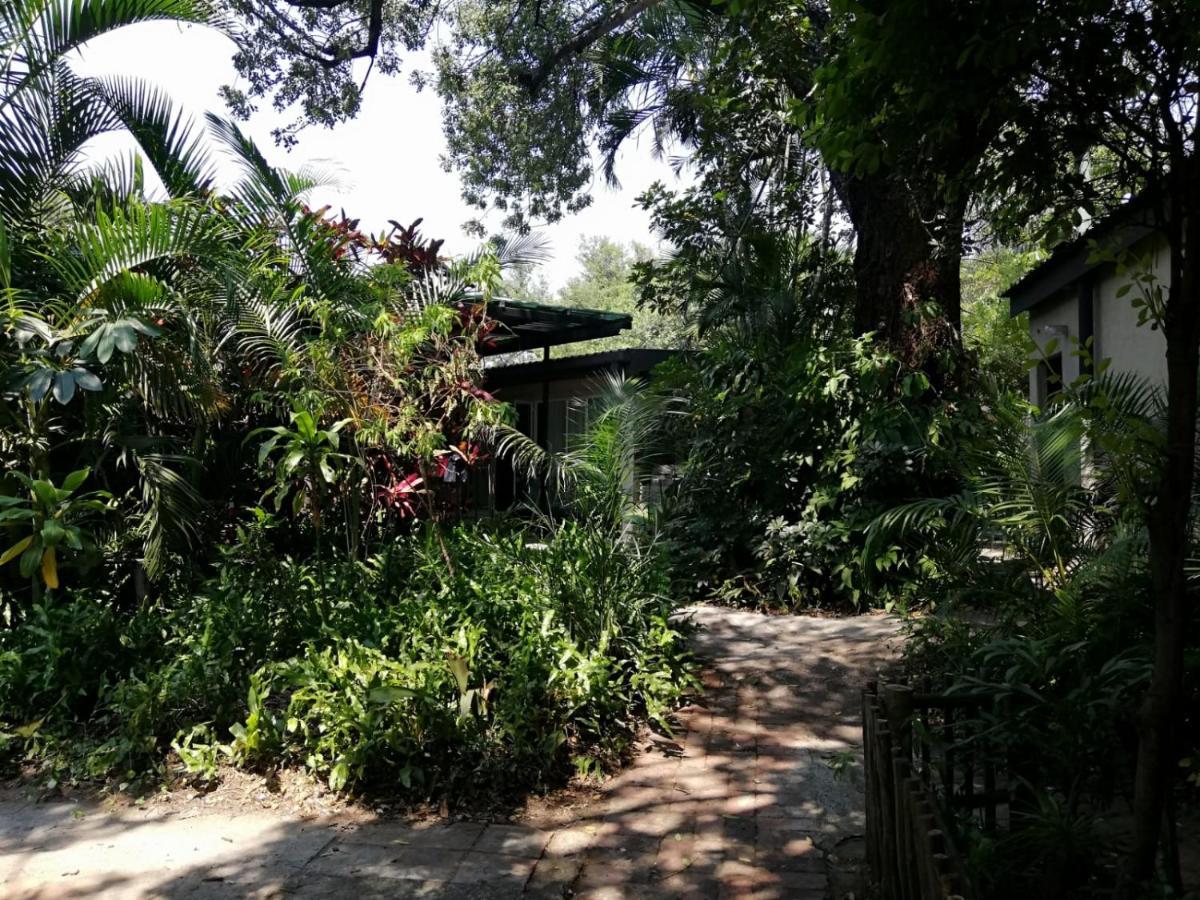 Elephant Walk Guesthouse And Back Packers Phalaborwa Kültér fotó