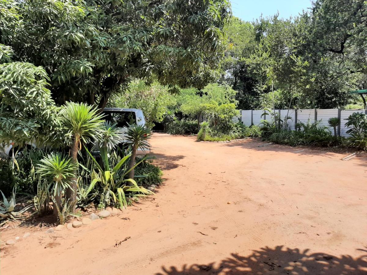 Elephant Walk Guesthouse And Back Packers Phalaborwa Kültér fotó