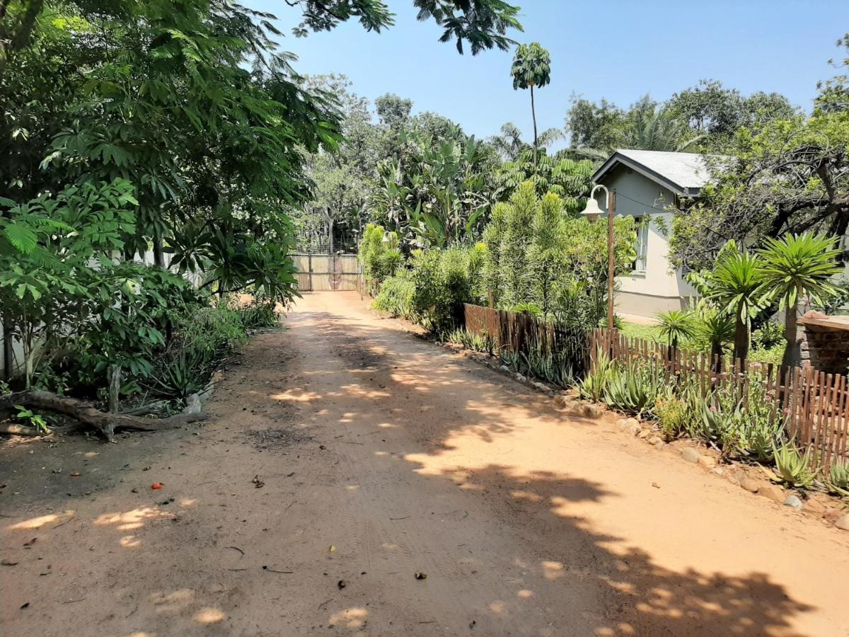 Elephant Walk Guesthouse And Back Packers Phalaborwa Kültér fotó